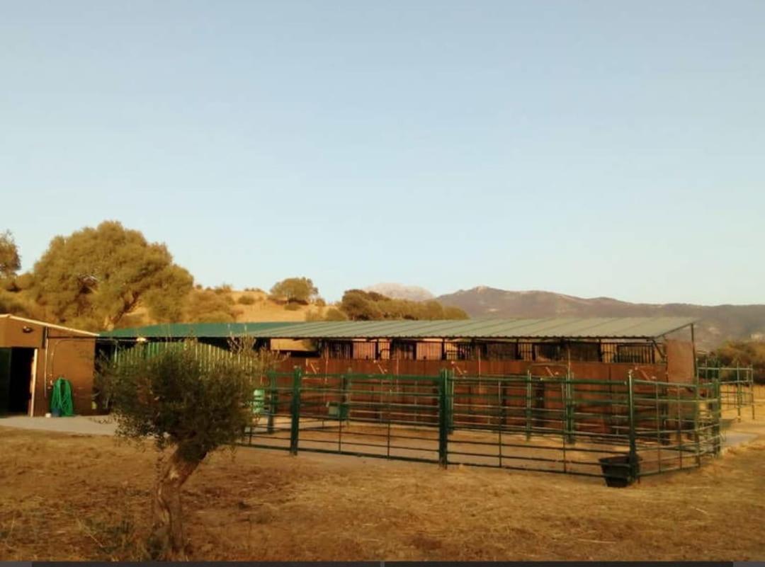 普拉多·德尔·雷伊Preciosa Casa De Madera, Andalucia别墅 外观 照片